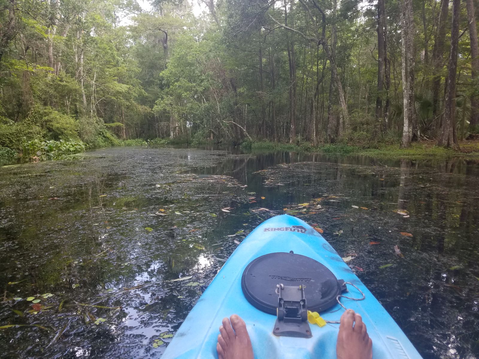 Kayak1