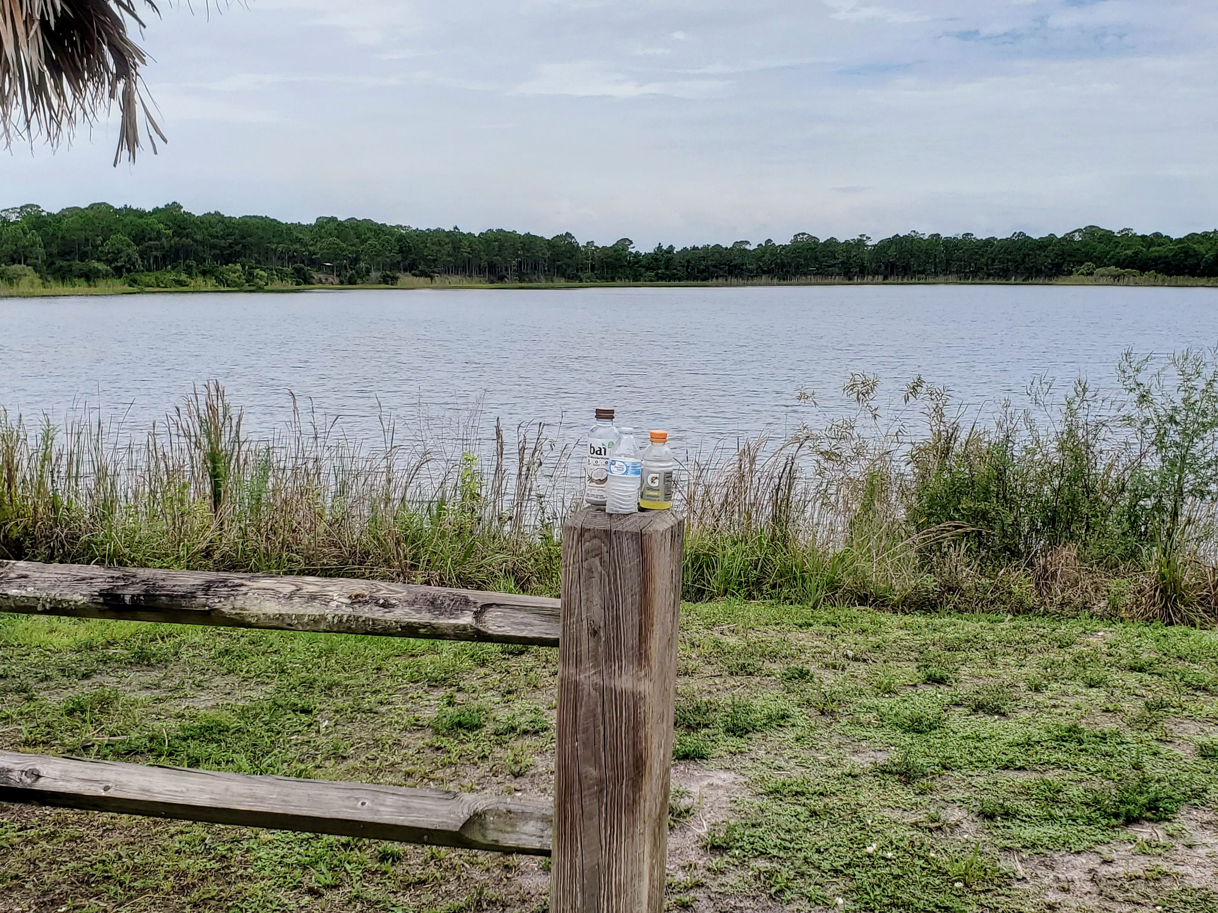 original_3fca1a1f-fda8-4b40-9830-27ac66e4279e_20240615_114525