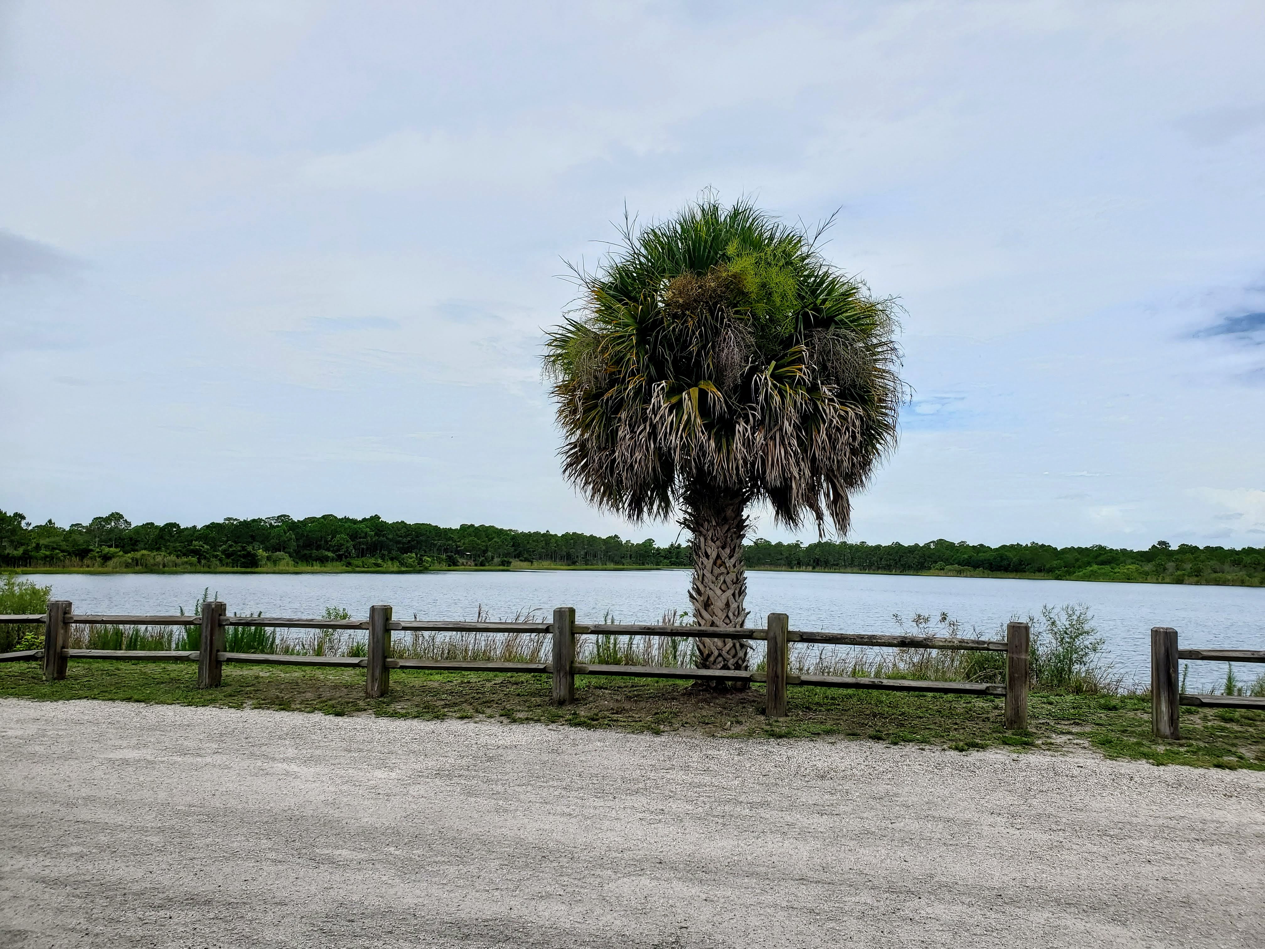 original_aa21d66c-d4ea-473c-b804-95a8828312b4_20240615_115027